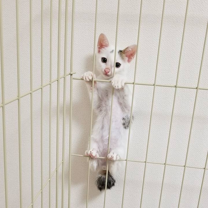 Cd8d6e3f db1e 44b3 89a3 4b58e1c346ad