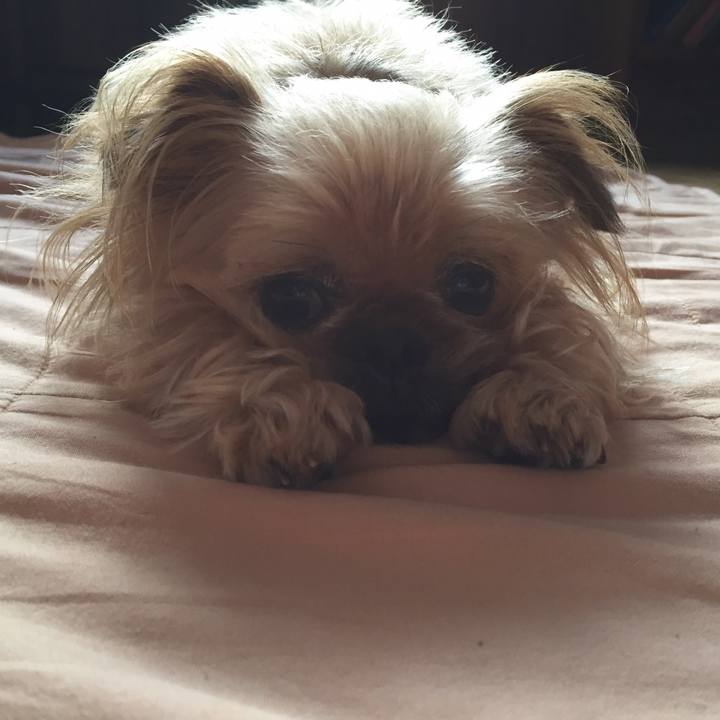 Cd8dd616 9466 44dd b54a 6790af14fb40