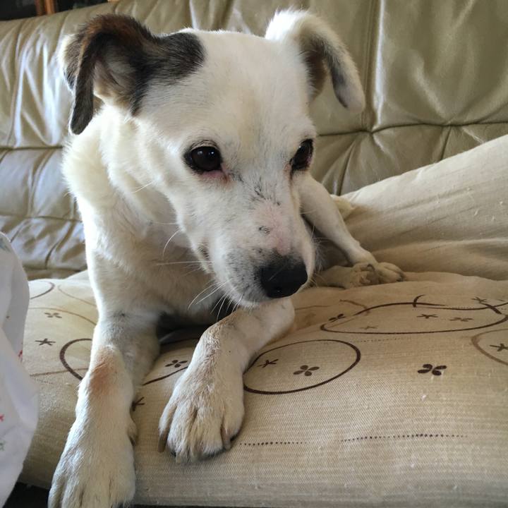 Cd8de412 7867 4481 bad0 6bf2ff885a5f