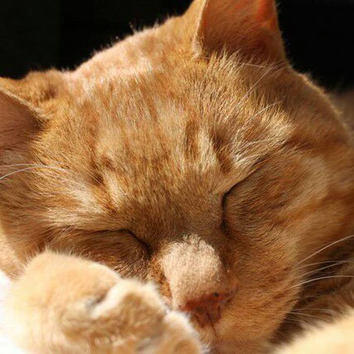 Cd8e3bd2 ed1b 45f9 ada1 18ec624d2a58