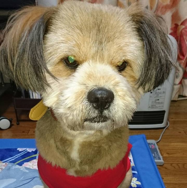 Cd8ec67c 0a2b 47d4 bbce 5a5a10aa679e