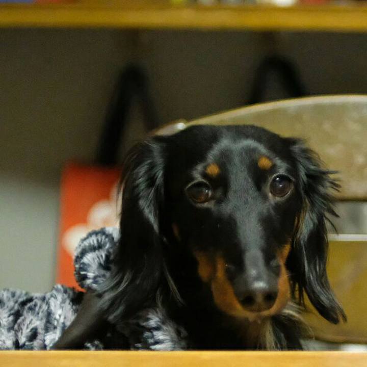 Cd8ed37d e4e5 4715 a553 91d45a0dce8a