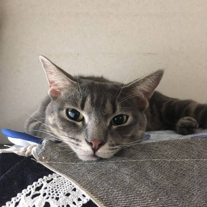 Cd8f4b40 73b2 4677 859b 38b87374ed30