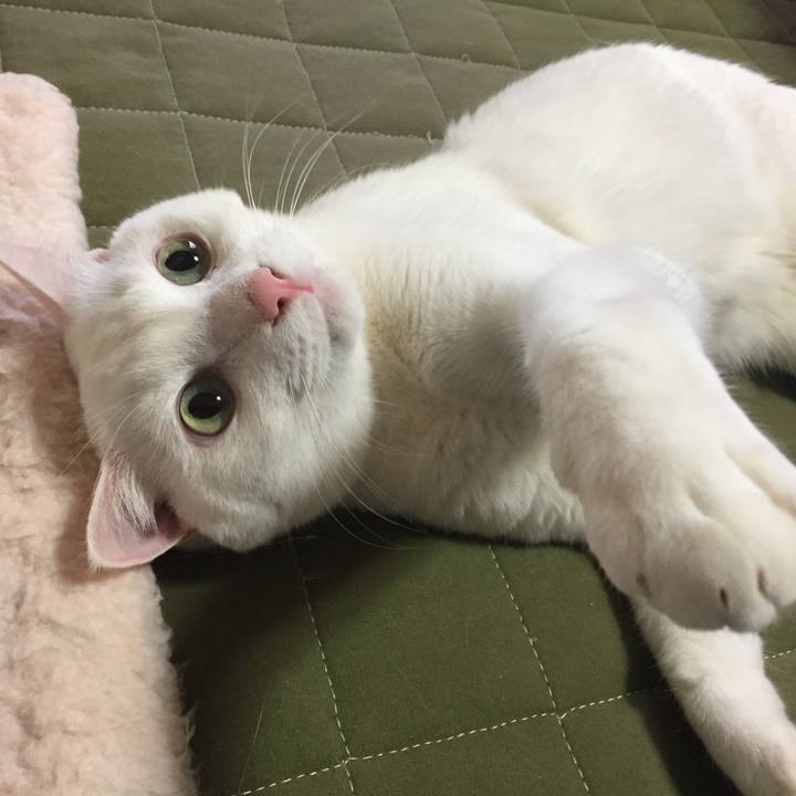 Cd8f7a22 5117 4ca7 8ba5 2644585e90af