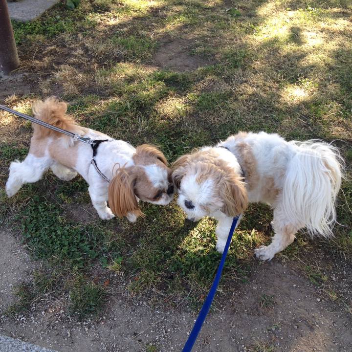 Cd8f82e3 2b7f 40be a744 0dd28e8bd736