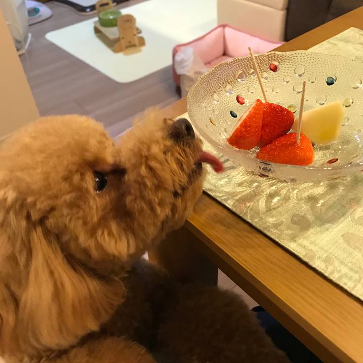 Cd910471 1eeb 43e6 afbf 12d2b8c35369