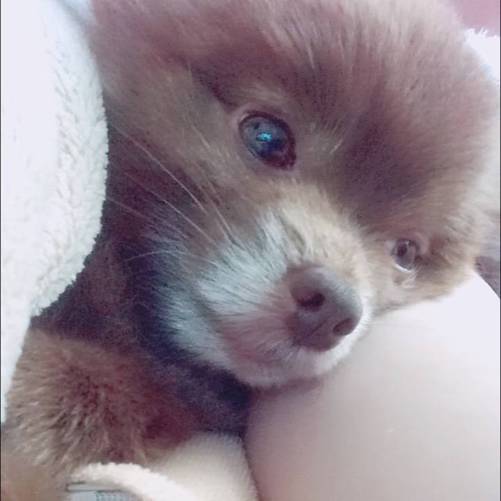 Cd9122e7 6dce 4624 aa4e 9a02159ed57b