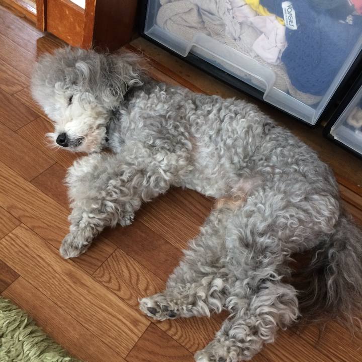 Cd91efdd d002 4f2a 9c8f 0212fad80a0f