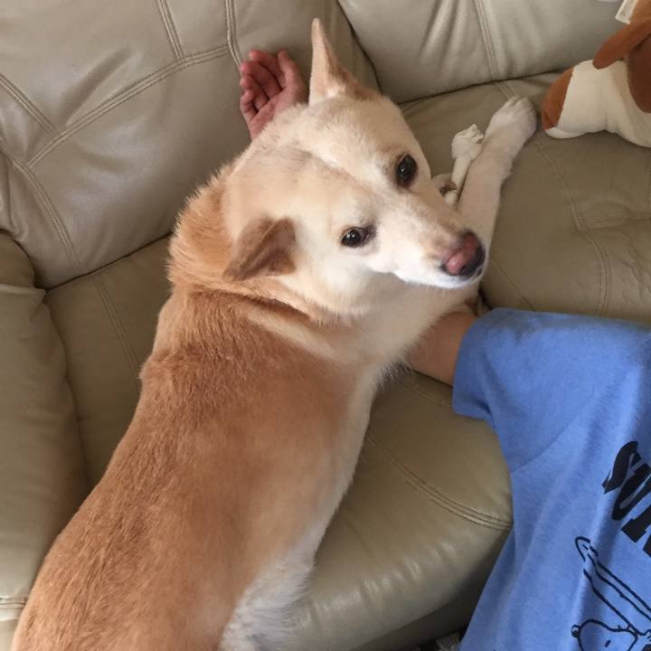 Cd922287 7e74 4219 8508 141301ad93d7