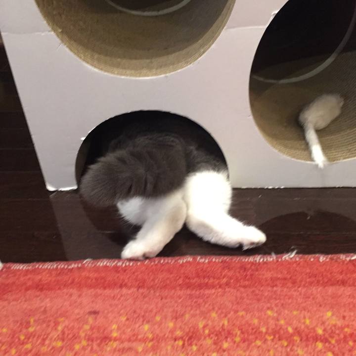 Cd922e68 d349 4b12 a26d 05e478e63b3e