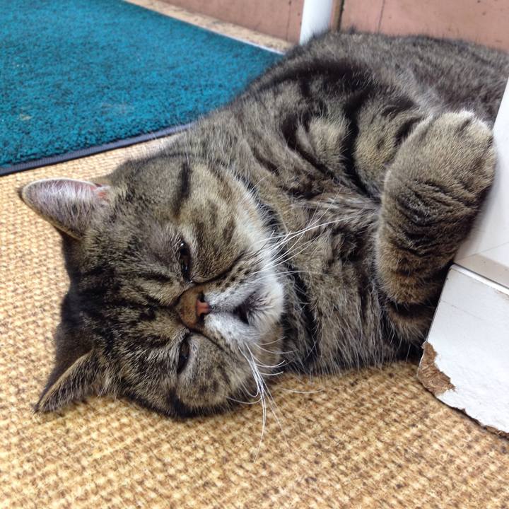 Cd925aa0 82ac 4590 b7c9 569f6c9a93ff