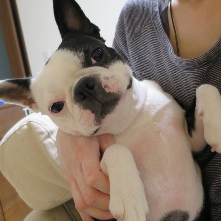 Cd936cda ce5f 4e58 b694 3e5691e84fdf