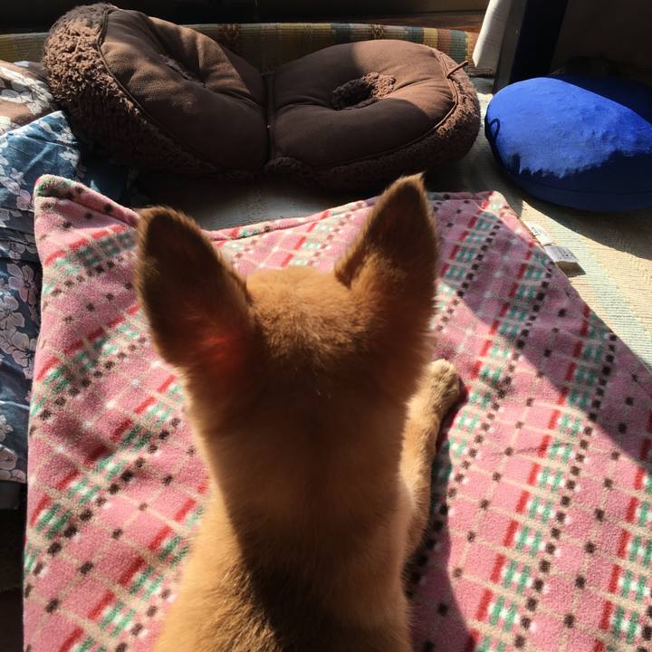 Cd93de54 f578 42af 8c04 1a4a774470c5