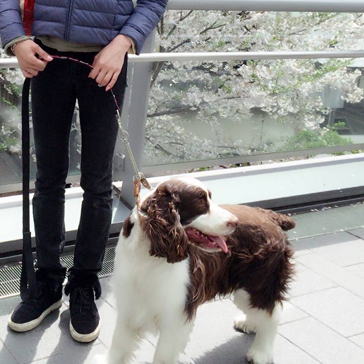 Cd940e8d 5743 409f ad0e 7f7b18e7e187