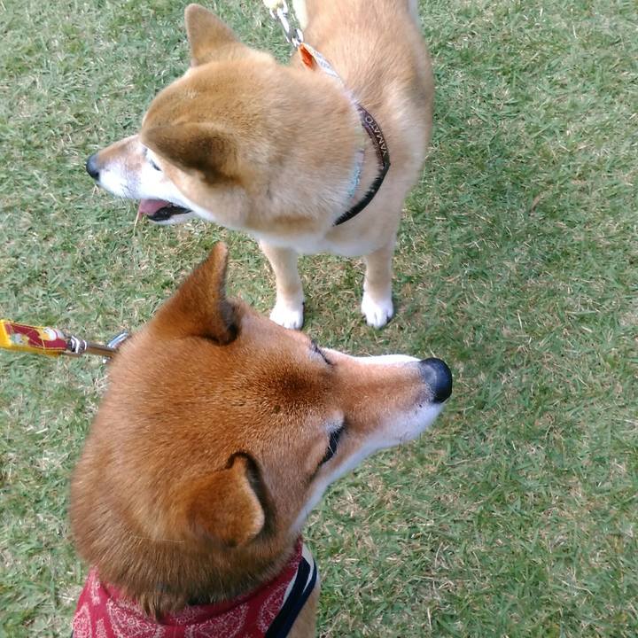 Cd943b5b 1353 43d4 b7b2 1feaa3e0e586