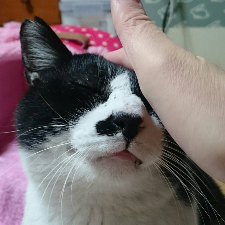 Cd94d63c 4388 4778 bcd6 cb689cd0862a