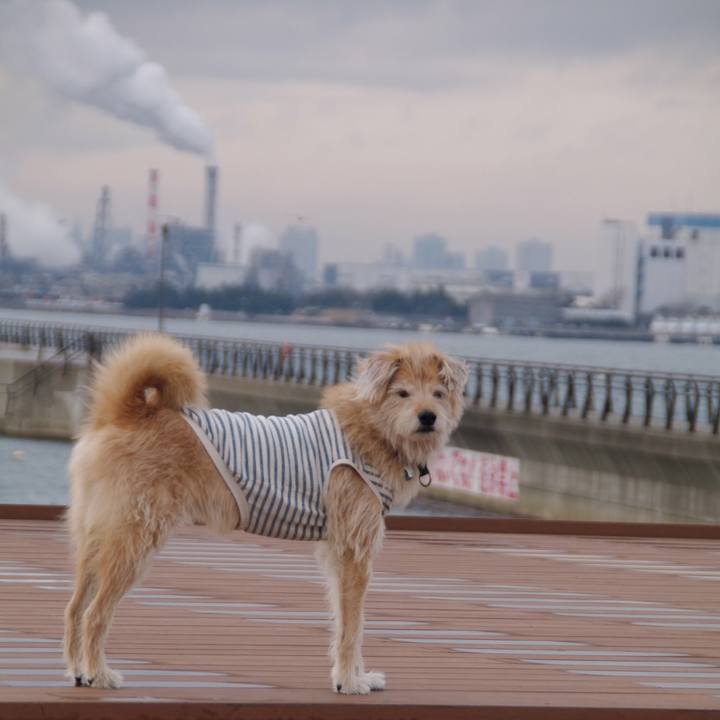 Cd953b3b 4cfa 4019 a98b 9291cc1f83cc