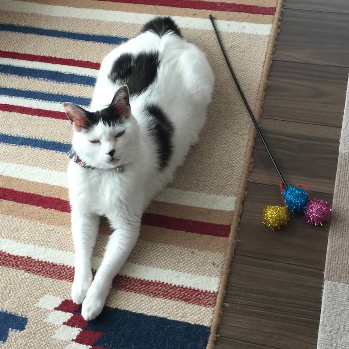 Cd964907 7767 406d ad7e c4acf9ffc842