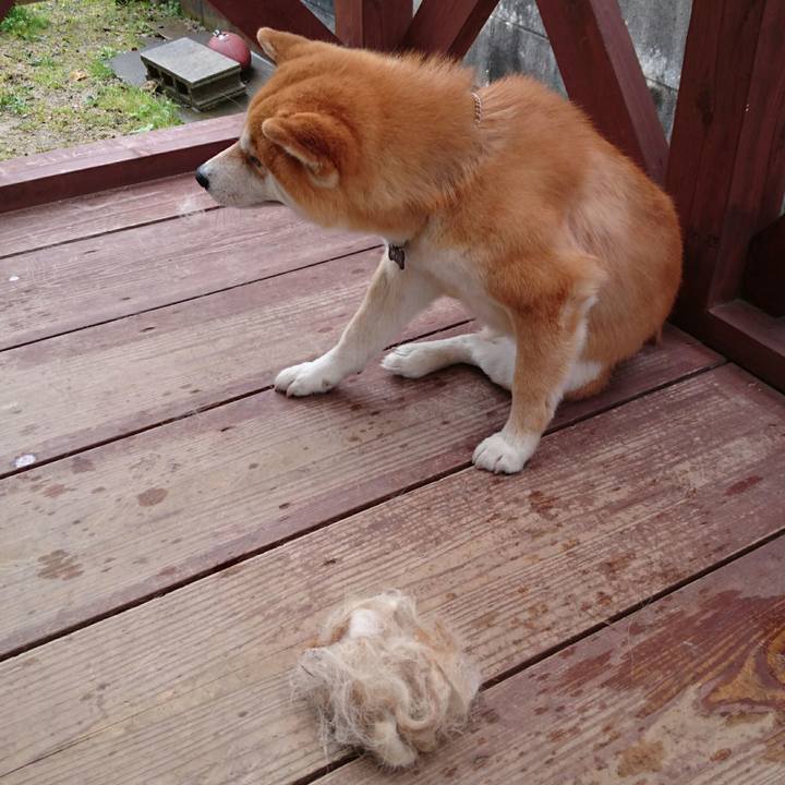 Cd967e3e 52ed 49c6 a725 177d55eaab97