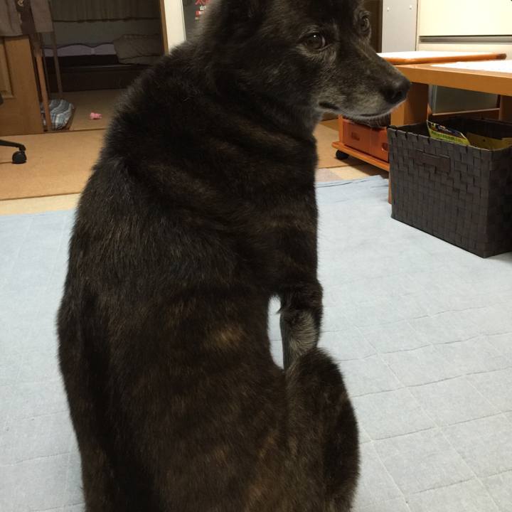 Cd96843e f257 4462 bb6a 48ec74f949a4