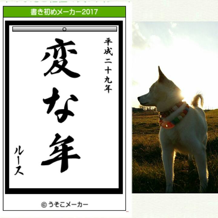 Cd96a31e 807d 4d0e b8cd e0b213b2343f