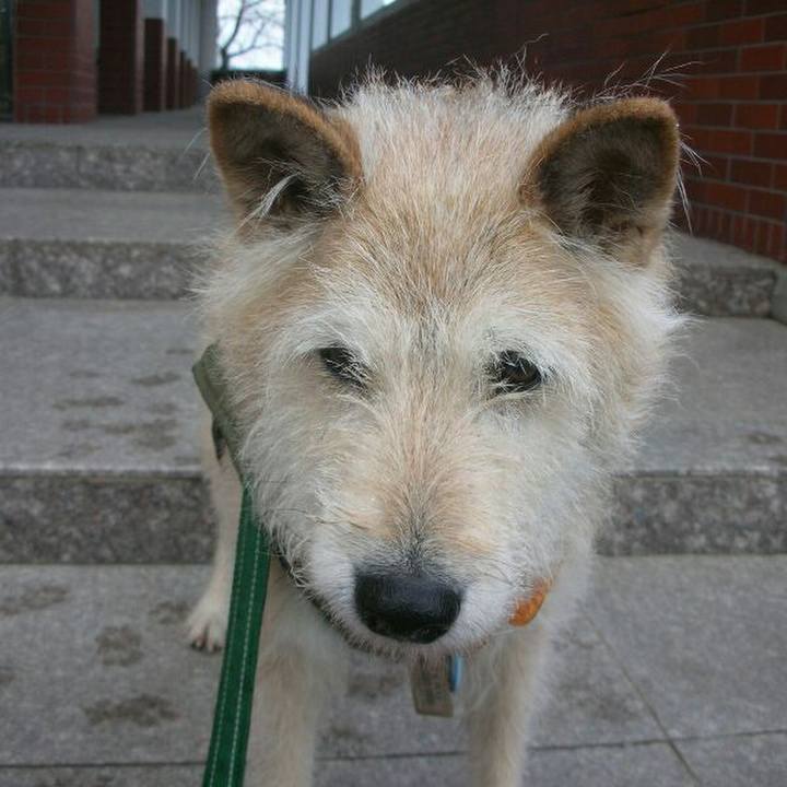 Cd971280 af83 4f4d 9dea d46aa24a377e