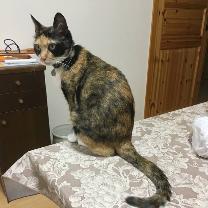 Cd97ccf5 4f1e 4fcf b7e8 148302e3aac5