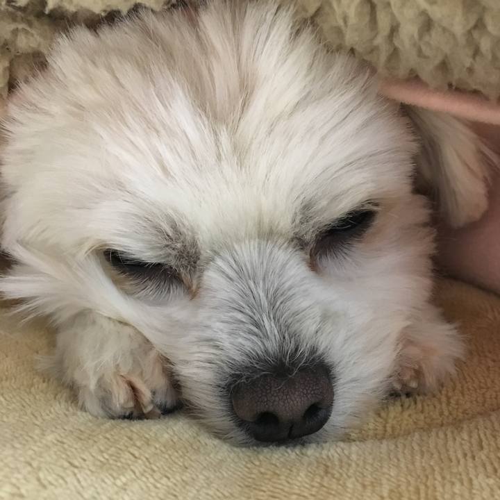 Cd9857d4 3cb1 4287 84b0 b7e6dadc069e