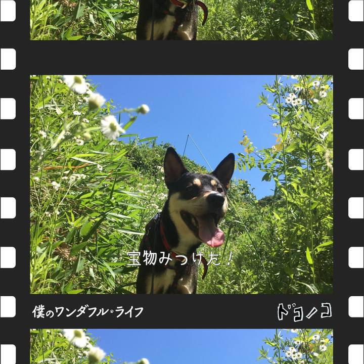 Cd9a0888 95ad 4a16 b6ed a5f90488b218