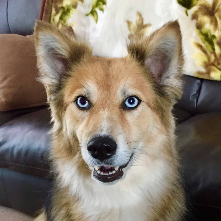 Cd9a1c9f 8014 43ed bbf3 f4f352a43db0