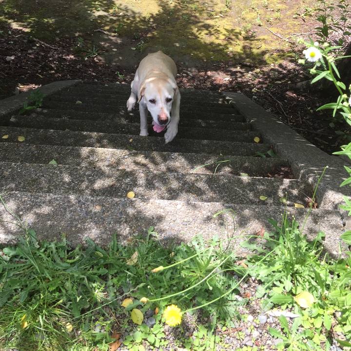 Cd9a6709 30b8 446c a232 cdec947a9f43