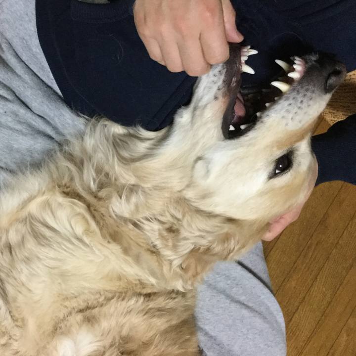 Cd9b5a15 9e11 4595 bd84 af988a146e75