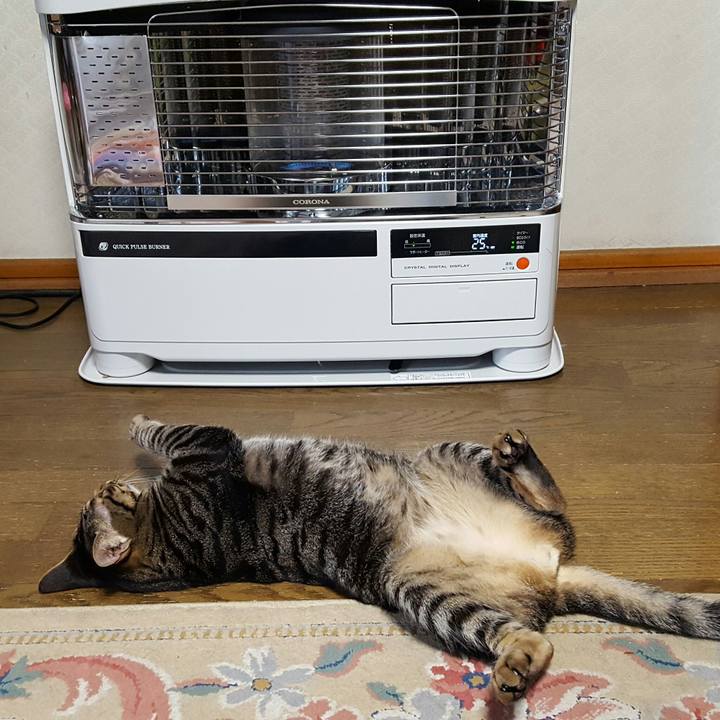 Cd9b61ae b313 4885 8b91 bc7511907011