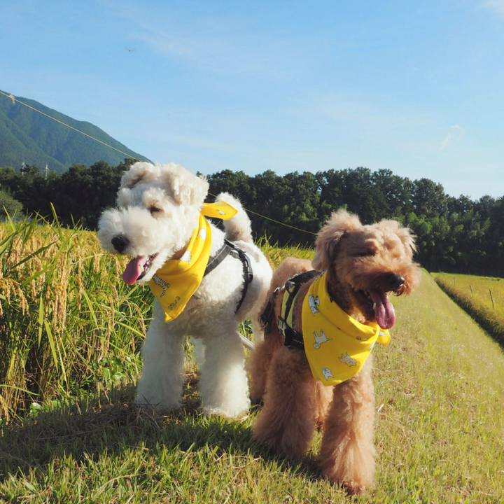 Cd9bb0b6 c5d1 4079 8e81 1912e11d9dbe