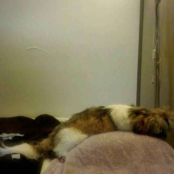 Cd9be430 d9d8 43c5 ae9f bea0485dbc8e