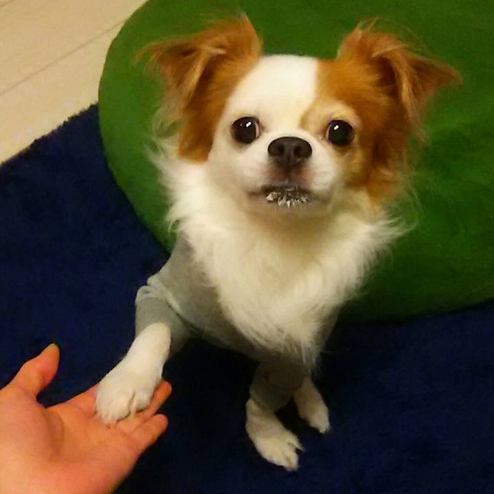 Cd9ca93c b562 4d4e 9ebd 2d190eedb4e9