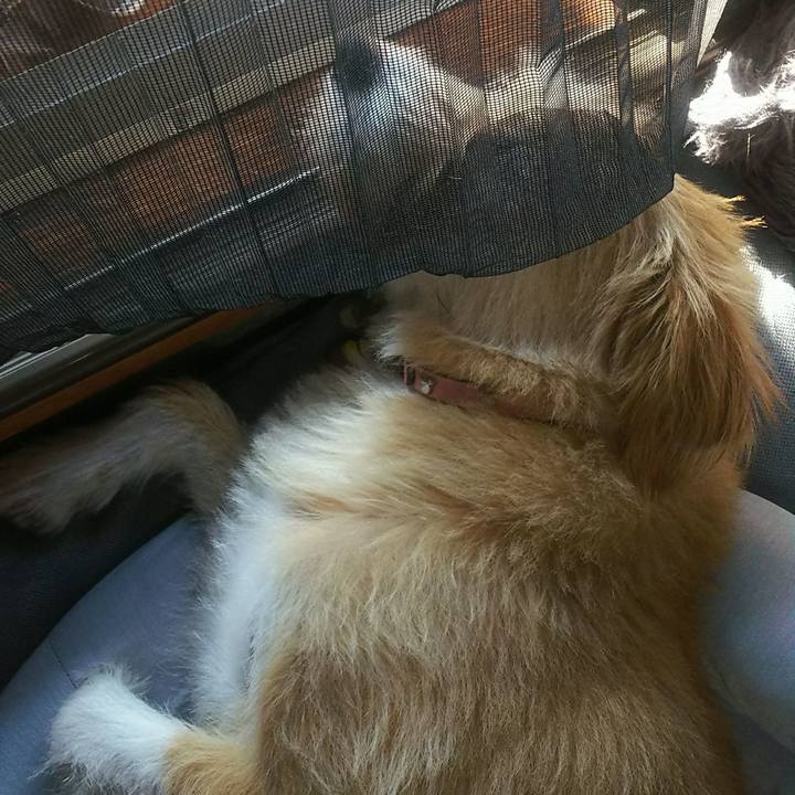 Cd9ce4cf 2847 48fa 9e6f 3577bf3960b0