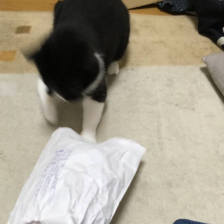 Cd9d36b7 ab2b 4e85 bf30 273409b8b28e