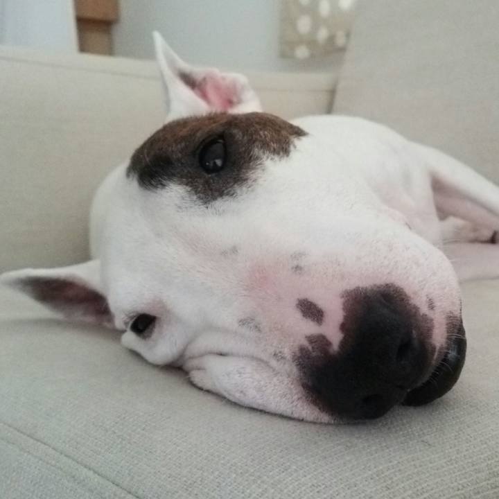 Cd9d41ce 0983 4420 b63a 67ef9b173840