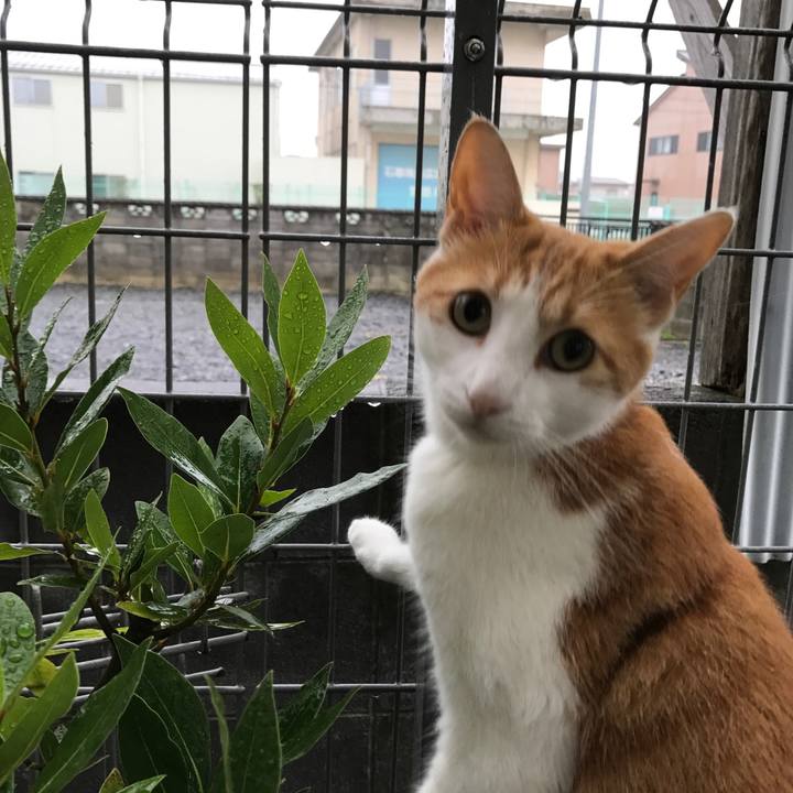 Cd9d9192 75f2 4a92 80dc b44167700358