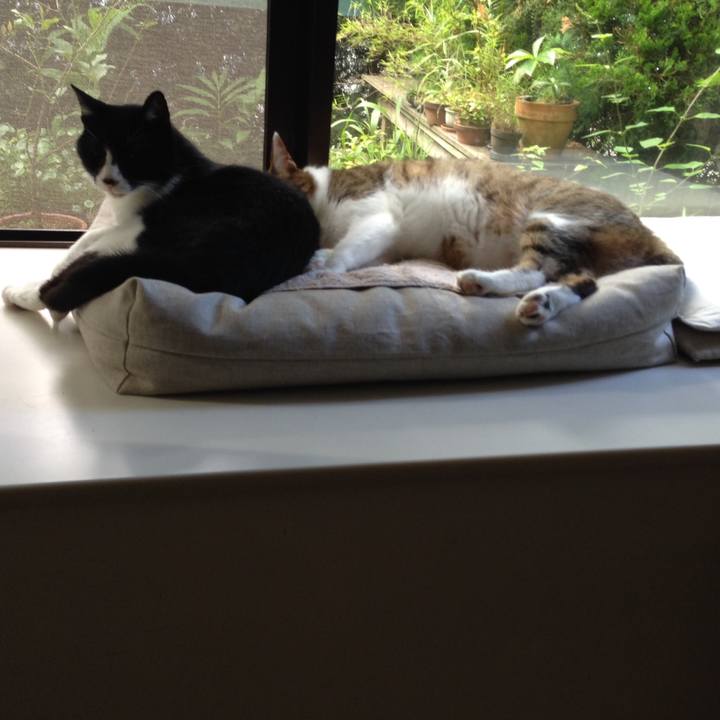 Cd9d9572 77a3 4dde 9a5d 8f7d6a8ed79c