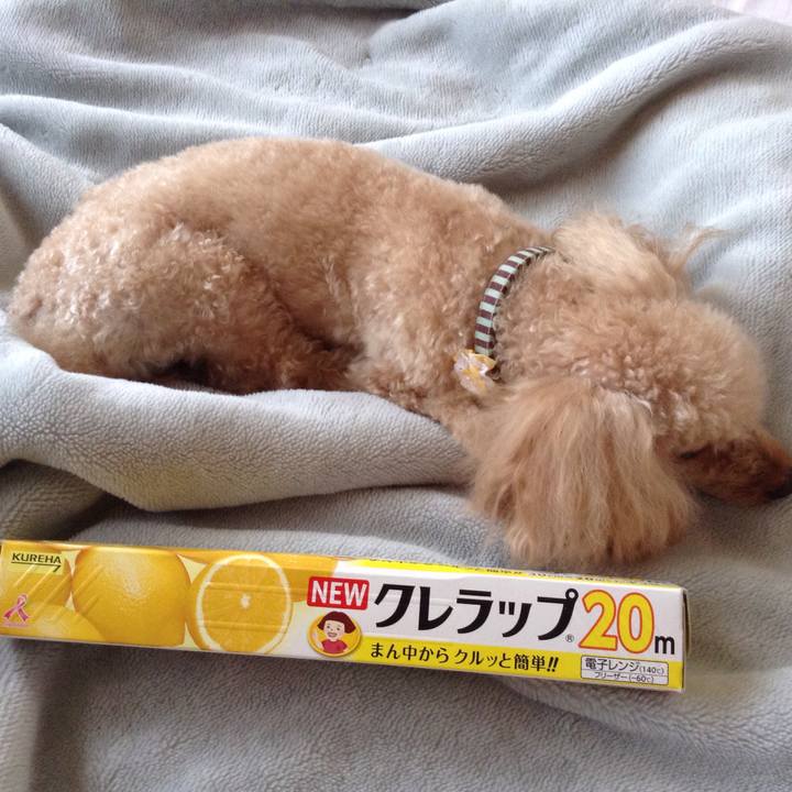 Cd9dc49d 20a0 4a5f 99b9 1cc5d44c23fb