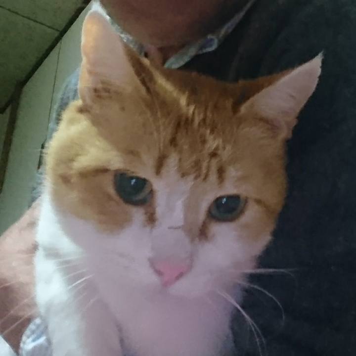 Cd9e2811 f702 4dbc a509 c952bcf7a423