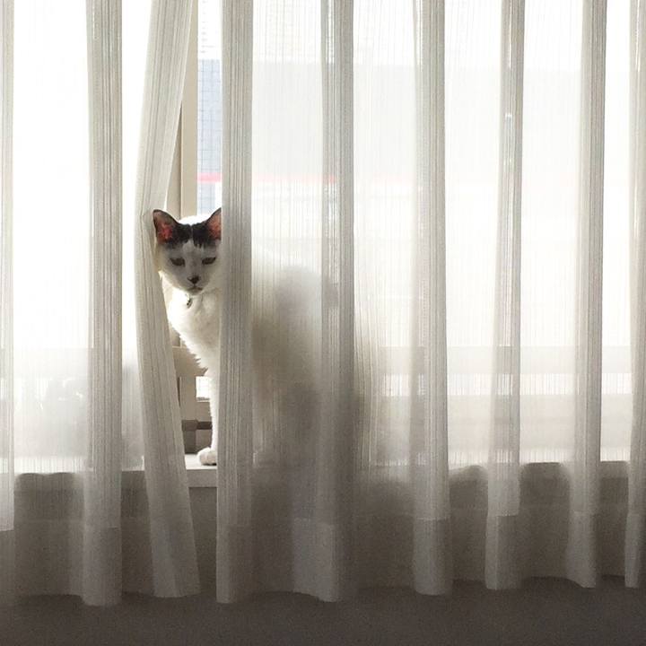 Cd9f03fc 7a73 477c 8d2f 364d44aaa9ab