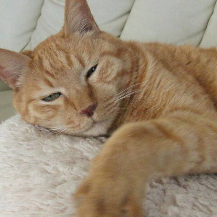 Cd9f35bf 00f1 4712 bc16 607a9a0597a6