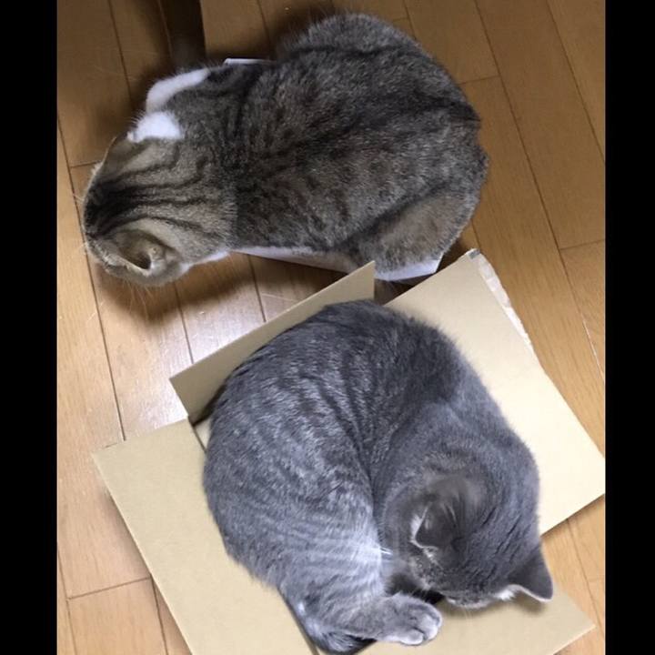 Cd9f762e 814a 4ee8 a3ea efbeced80045