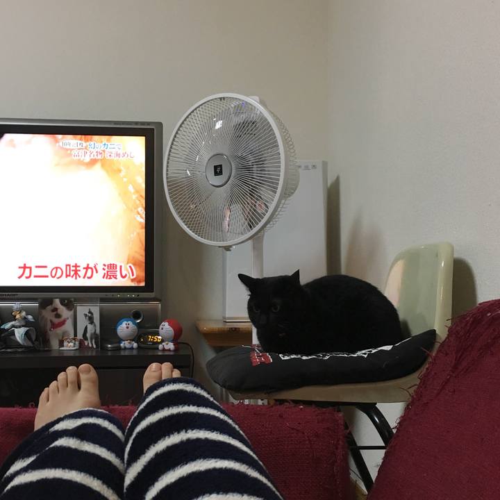 Cd9f7ebd 14af 4513 9a83 7fb2899d8380