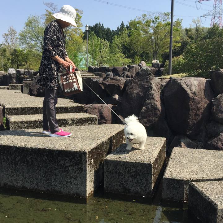 Cd9fe040 32fe 49ab 97f8 db3e39c50253