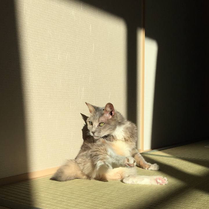 Cda02f93 c4ca 4320 92c5 eb625584b451