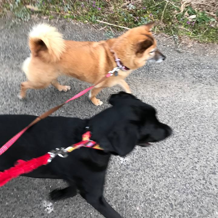 Cda0a2d3 5191 46e0 a00a 8747c0f7b30f